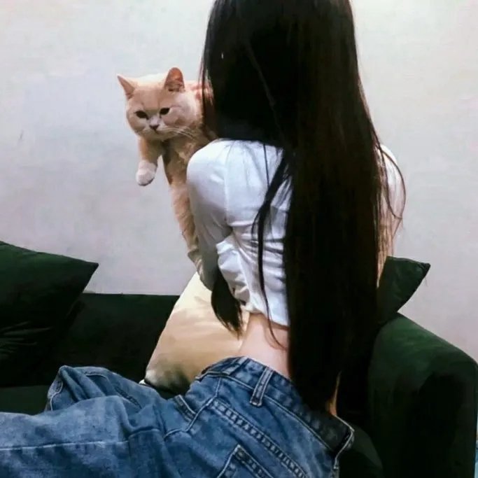 欧美影视